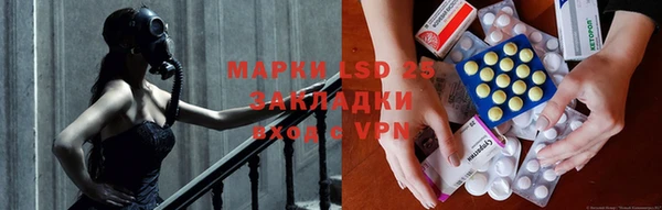 амф Богданович